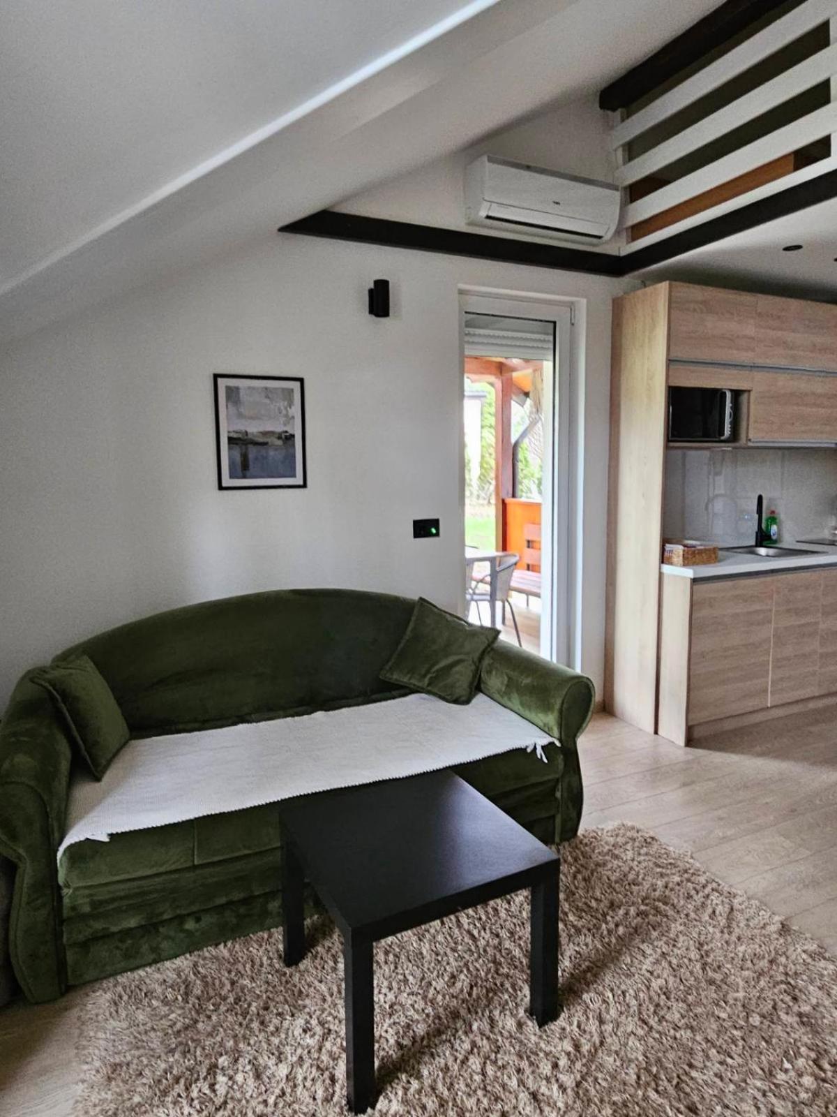Apartments Breza ズラティボール エクステリア 写真
