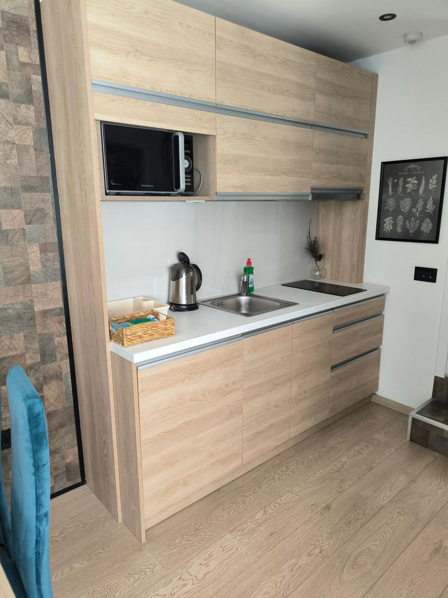 Apartments Breza ズラティボール エクステリア 写真